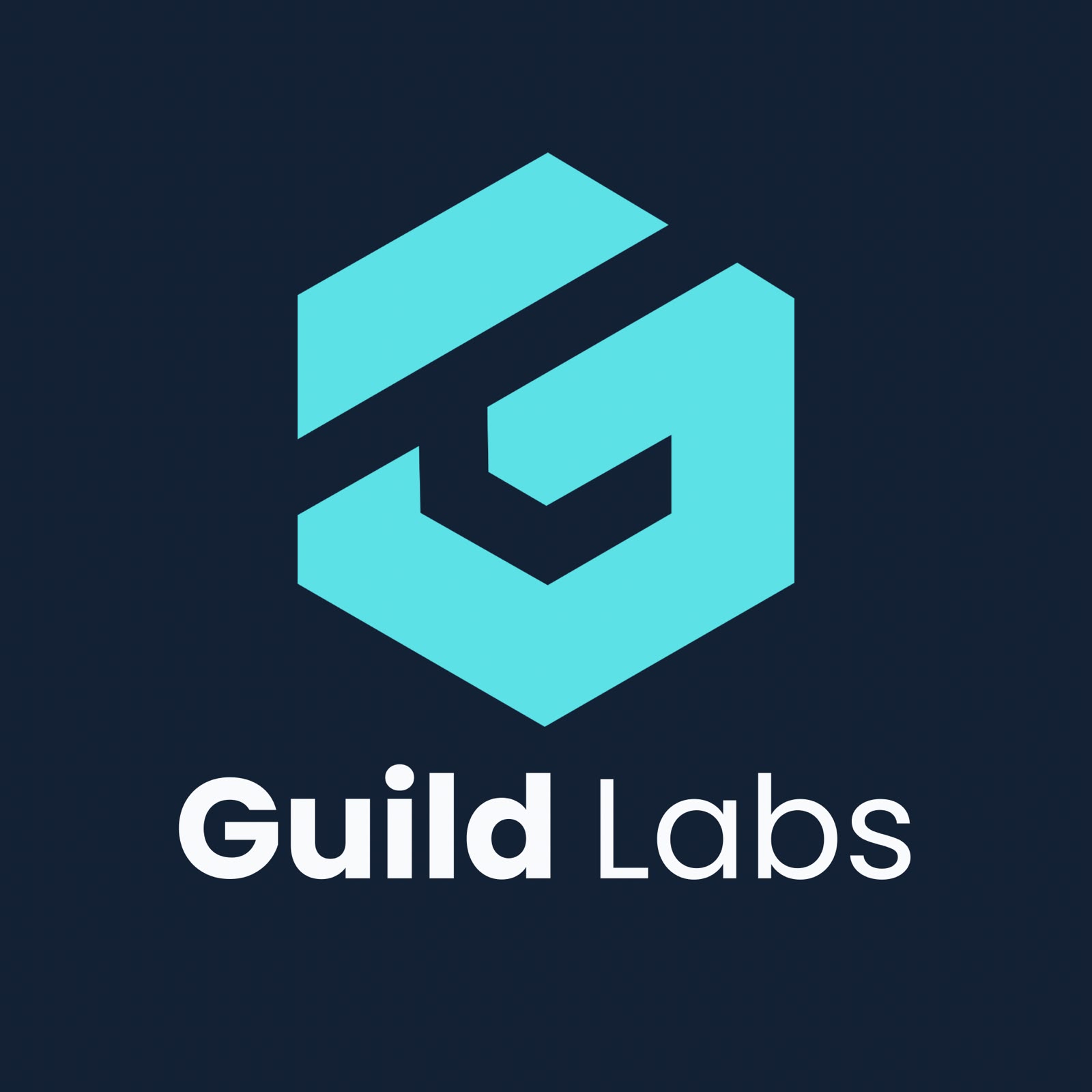 Guild Labs